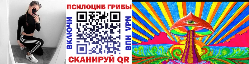 Купить Кизилюрт Псилоцибиновые грибы Psilocybine cubensis